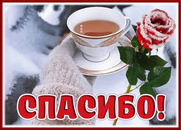Picture очаровательная картинка спасибо
