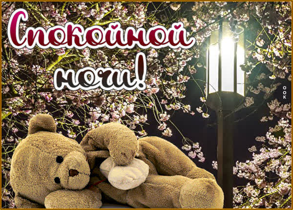 Postcard очаровательная картинка спокойной ночи