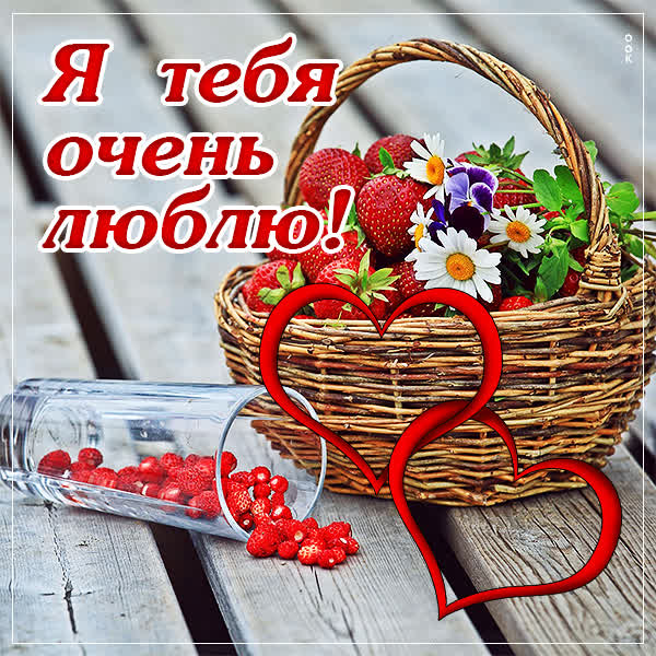 Postcard очаровательная картинка я тебя очень люблю