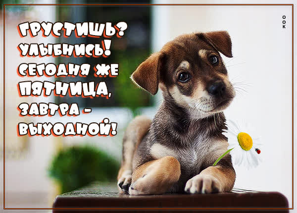 Picture очаровательная картинка завтра выходной