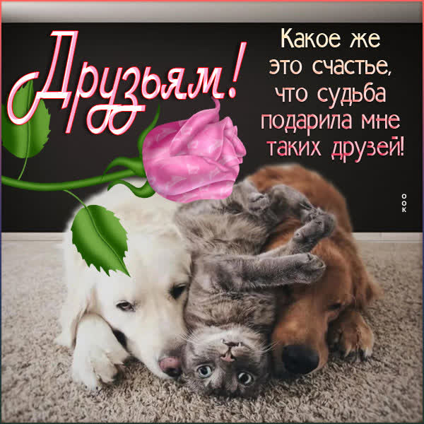 Postcard очаровательная открытка для друзей