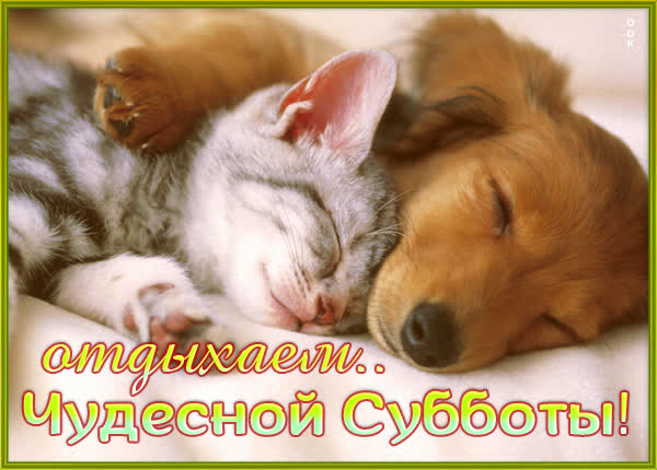 Postcard очаровательная открытка отдыхаем