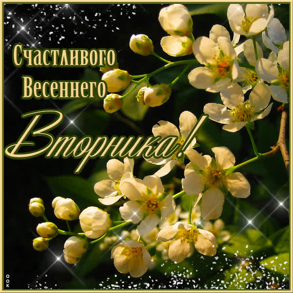 Picture очароватеьная картинка счастливого весеннего вторника