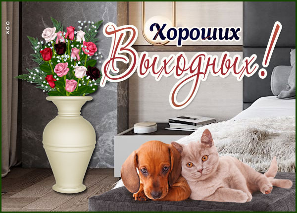 Картинка очаровательная открытка хороших выходных