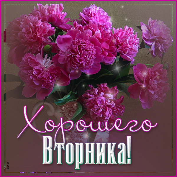 Картинка очаровательная открытка вторник