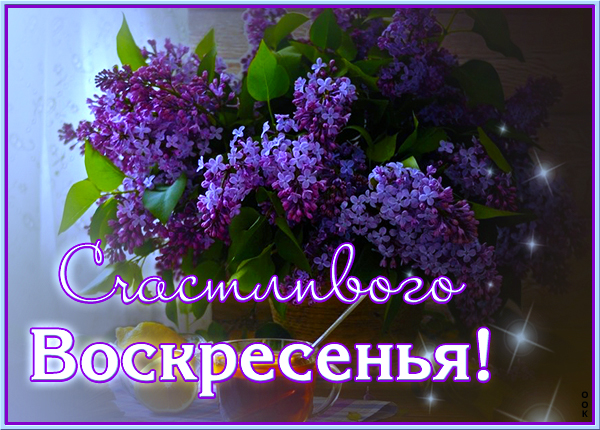 Открытка очень красивая открытка с воскресеньем