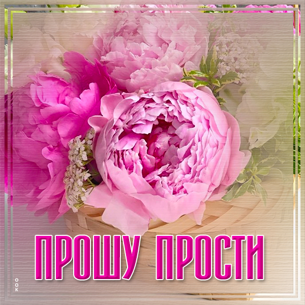 Открытка очень нежная картинка прости