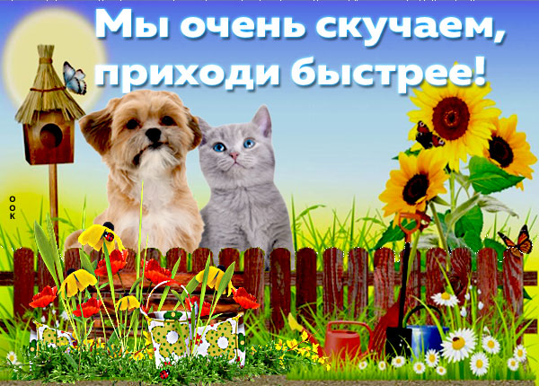 Картинка очень сильно по вас скучаю