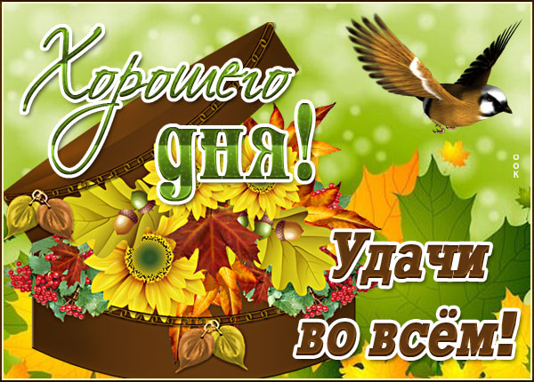 Открытка оригинальная картинка хорошего дня и удачи во всем с птицей