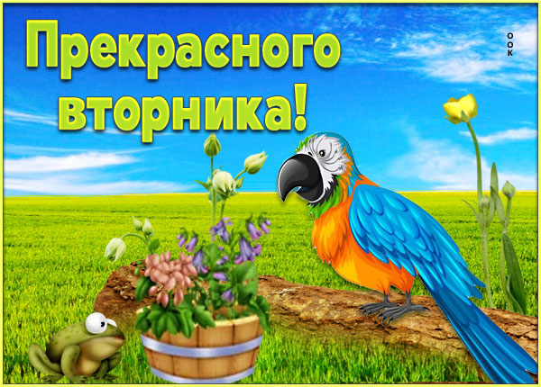 Открытка оригинальная открытка с вторником