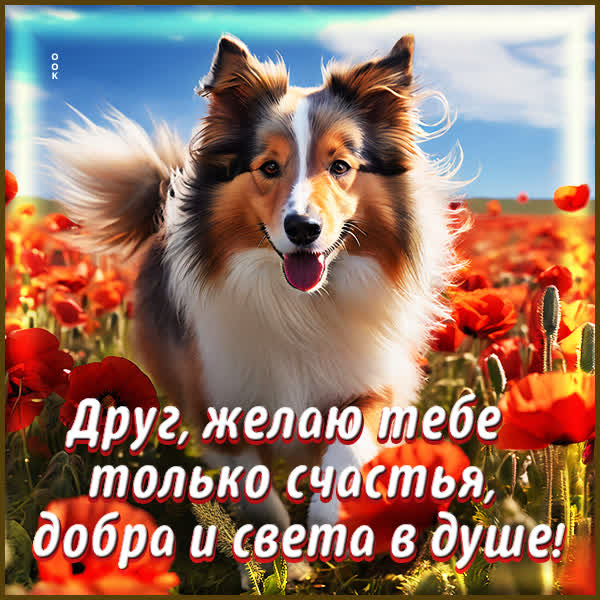 Picture оригинальная открытка желаю тебе добра и света в душе