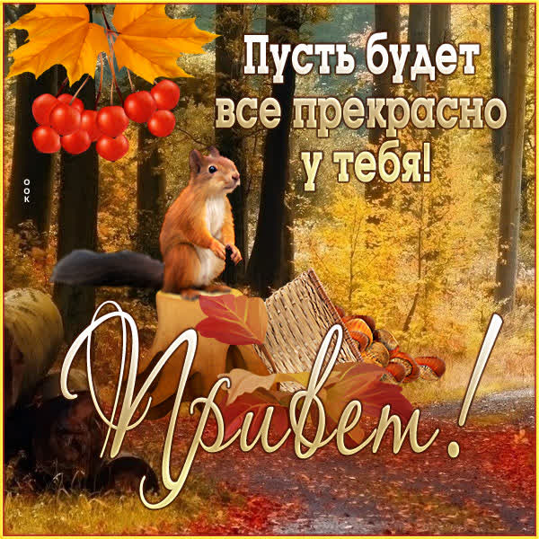 Postcard осенняя картинка привет