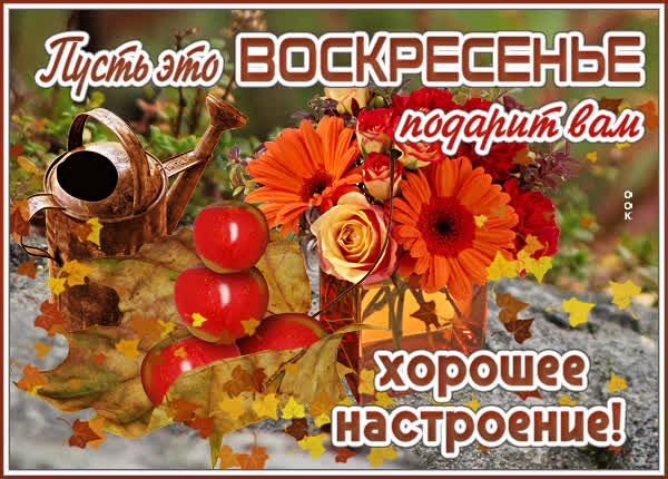 Postcard осенняя картинка с воскресеньем