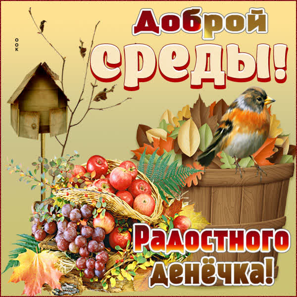 Postcard осенняя картинка со средой