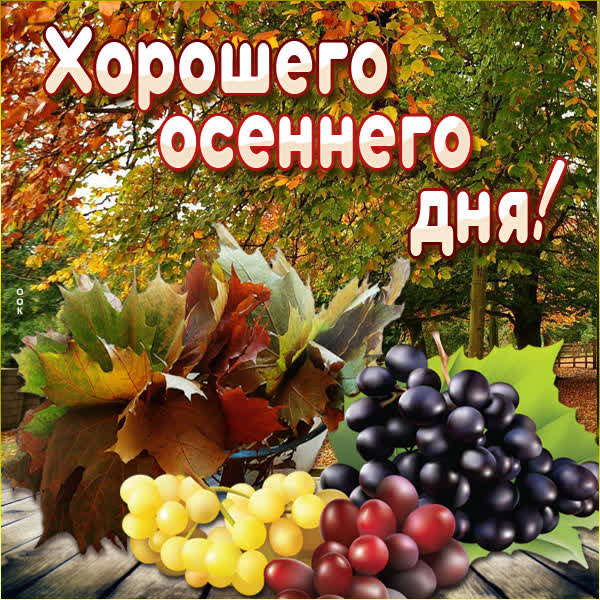 Postcard осенняя картинка хорошего дня