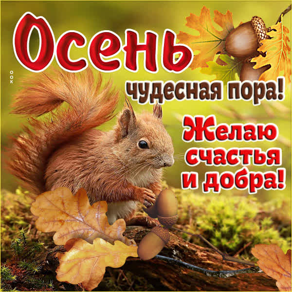 Picture осенняя открытка