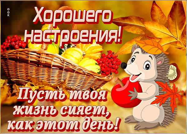 Postcard осенняя открытка отличного настроения
