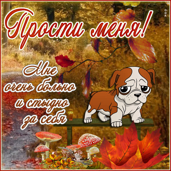 Postcard осенняя открытка прости