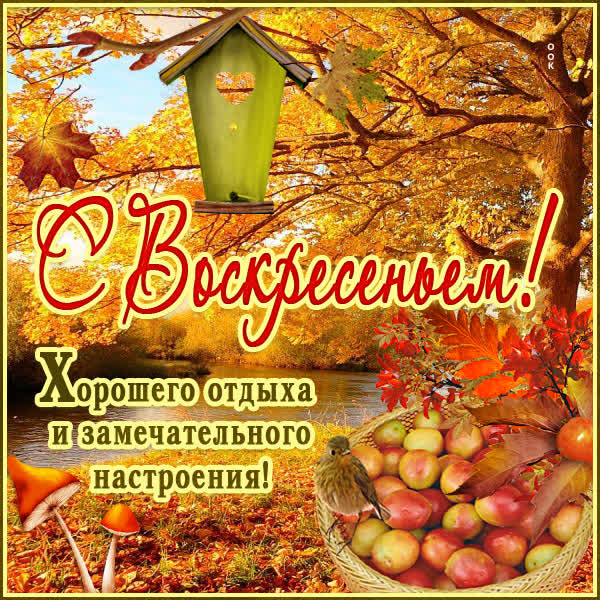 Picture осенняя открытка с воскресеньем