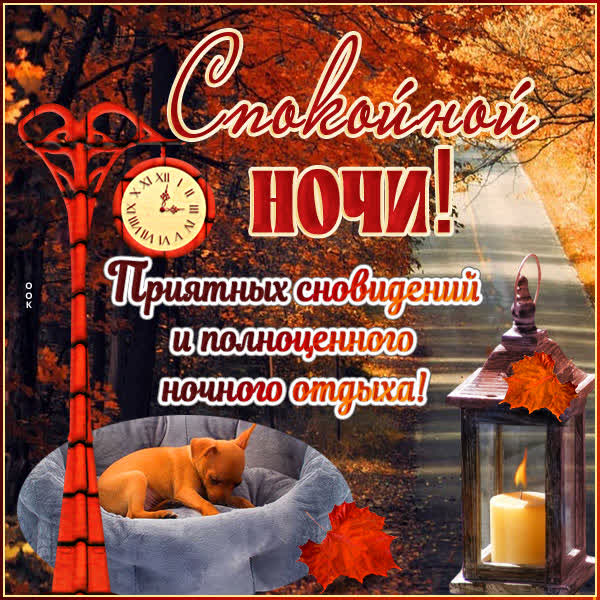 Postcard осенняя открытка сладких снов