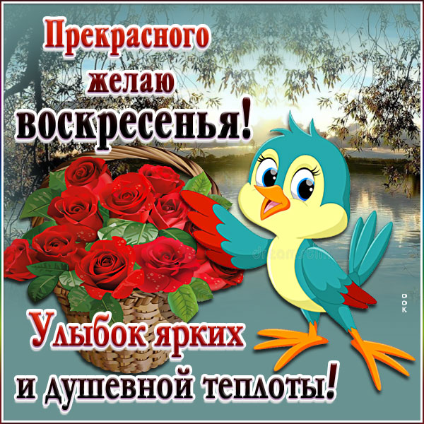 Картинка особенная картинка прекрасного воскресенья