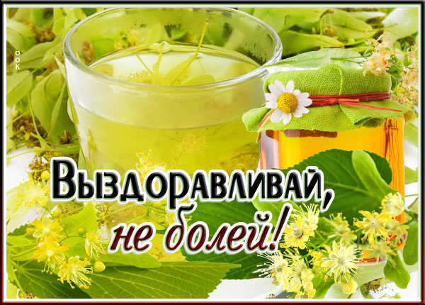 Открытка особенная картинка выздоравливай, не болей с ромашкой