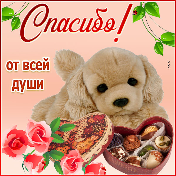Картинка особенная открытка спасибо