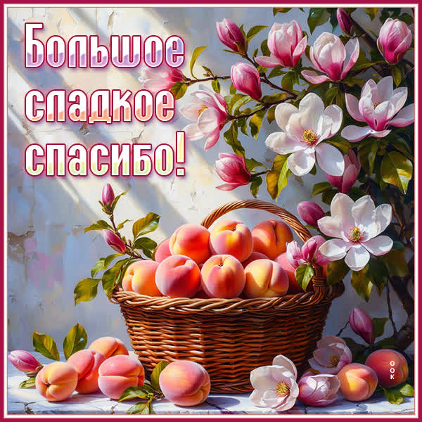 Postcard открытка большое сладкое спасибо