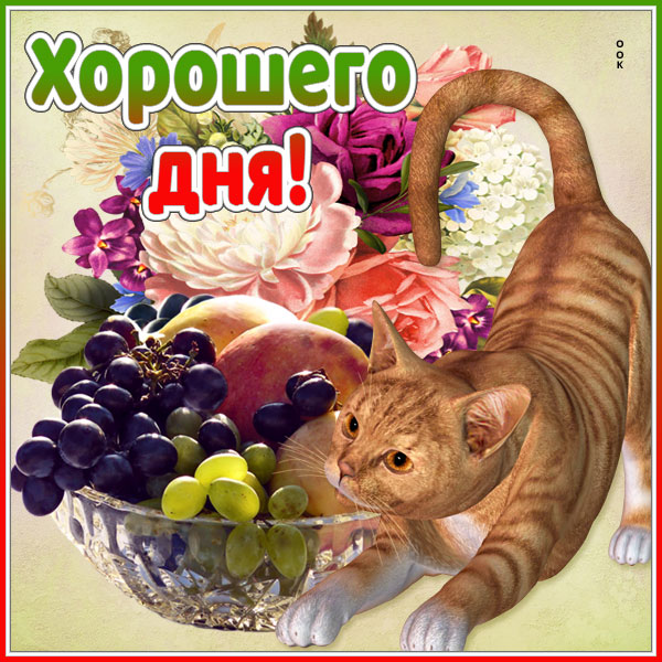 Открытка открытка чудесного дня