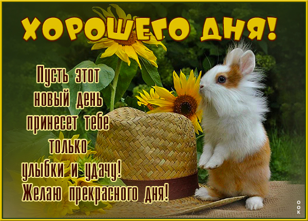 Картинка открытка чудесного летнего дня