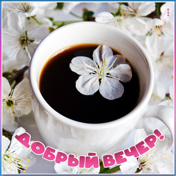 Открытка открытка чудесного вечера