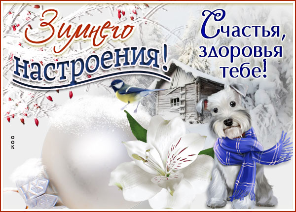 Открытка открытка чудесного зимнего настроения