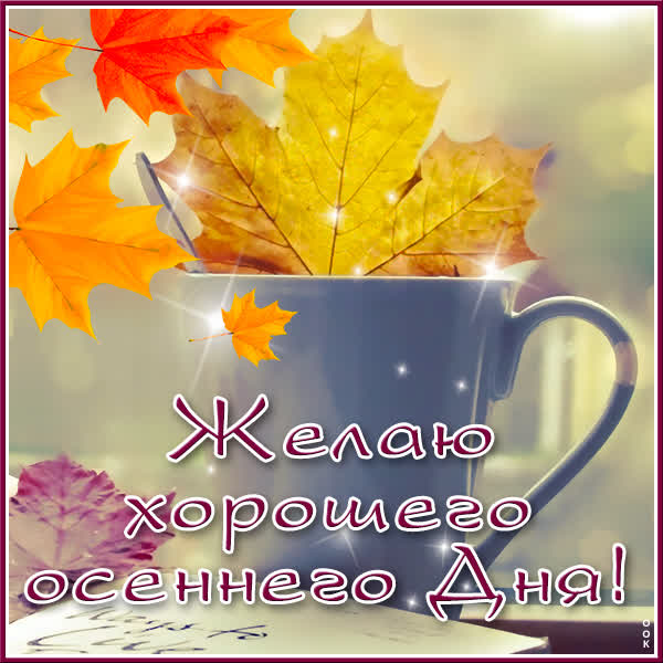 Postcard открытка чудесного осеннего дня