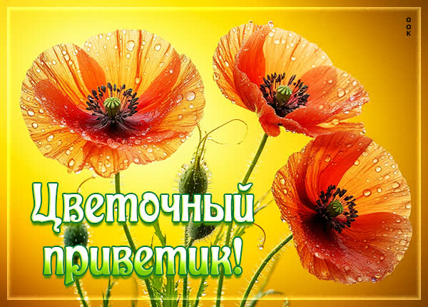 Postcard открытка цветочный привет