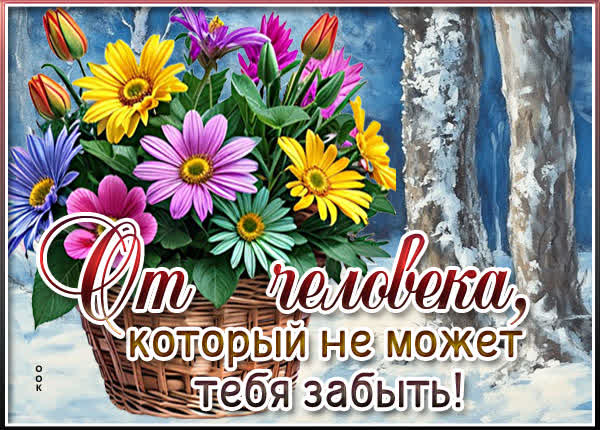 Postcard открытка цветы с добрыми словами и позитивом