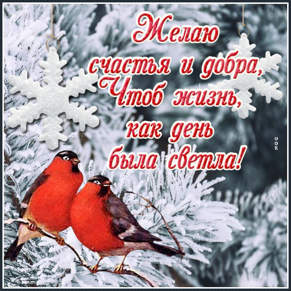 Картинка открытка для особенного человека