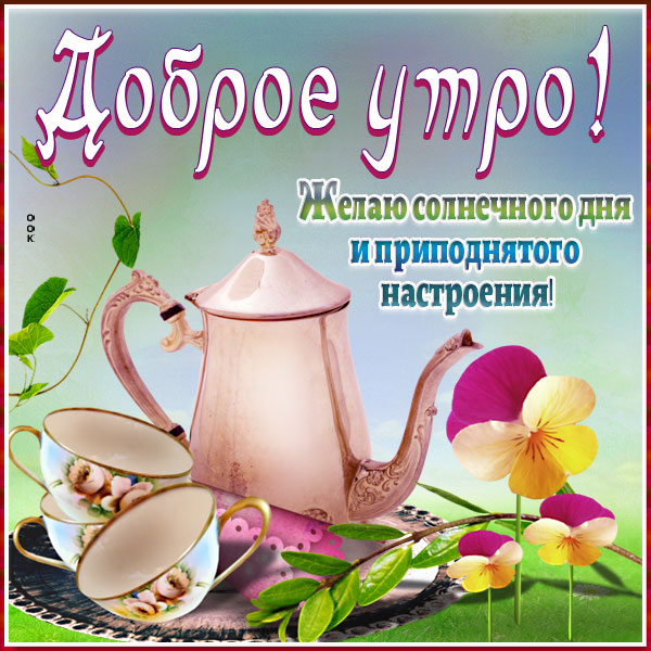 Открытка открытка доброе утро, интересного дня