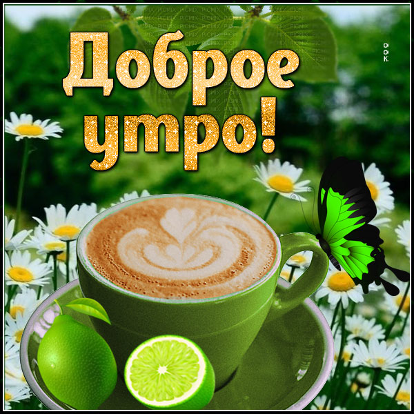 Открытка открытка доброе утро универсальная