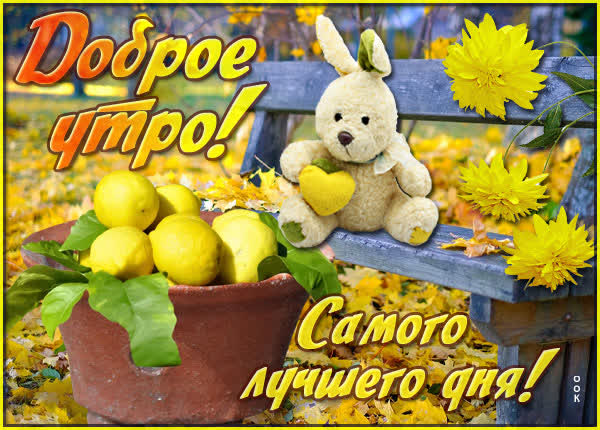 Postcard открытка доброе утро витаминки для тебя