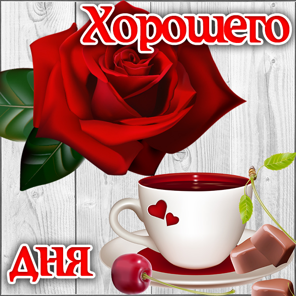 Открытка открытка доброго и хорошего дня