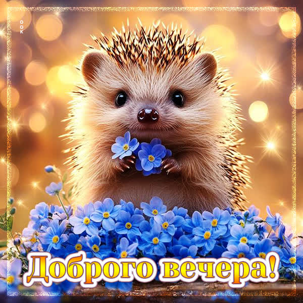 Postcard открытка доброго вечера, пусть он будет ярким