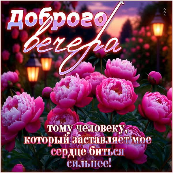 Postcard открытка доброго вечера тому, кто заставляет мое сердце биться сильнее