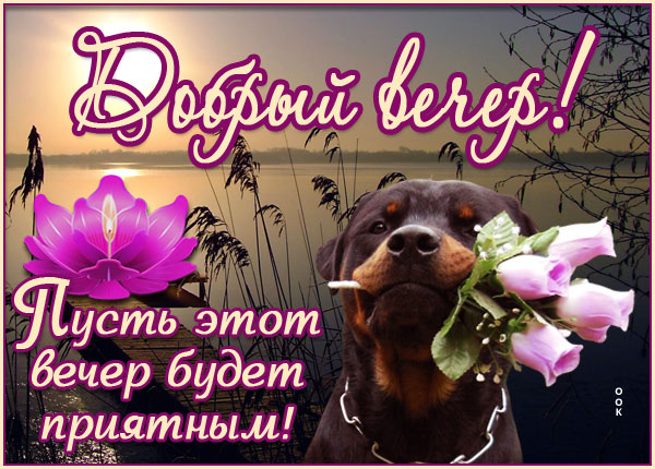 Открытка открытка добрый вечер приятного времяпровождения