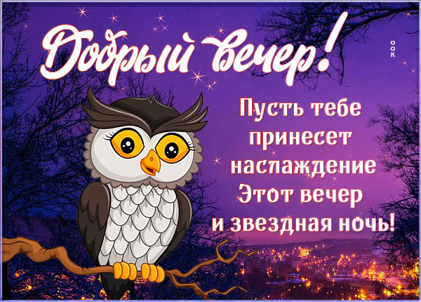 Открытка открытка добрый вечер с совой