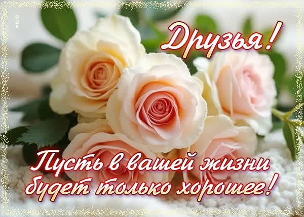 Postcard открытка друзьям с пожеланиями здоровья и удачи