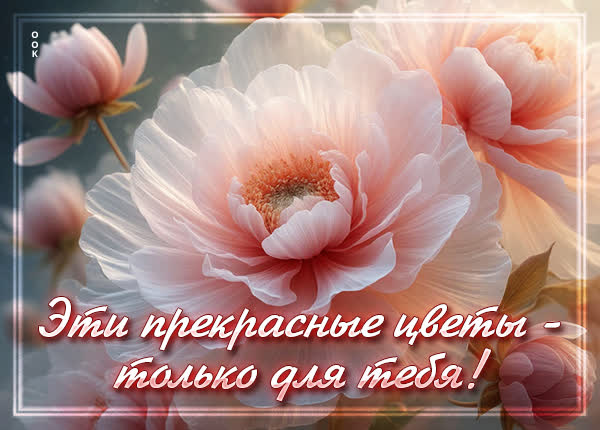 Postcard открытка эти прекрасные цветы - только для тебя
