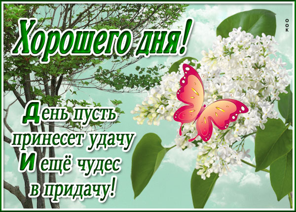 Картинка открытка хорошего дня с текстом
