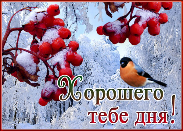 Картинка открытка хорошего зимнего дня