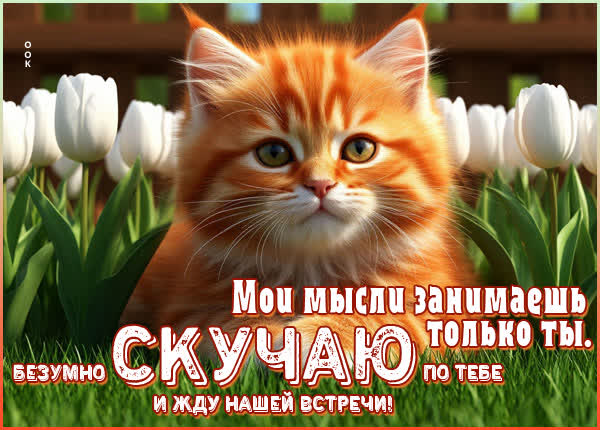 Picture открытка мои мыслы занимаешь только ты, скучаю