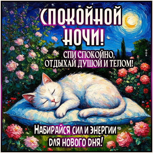Postcard открытка набирайся сил и энергии